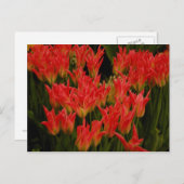 russische Romance Briefkaart (Voorkant / Achterkant)