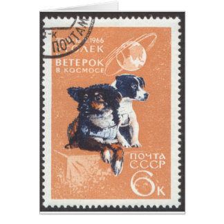 Russische ruimtehonden 1966 Cosmos 110