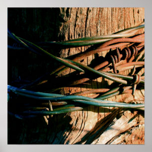Rust en blauwe gestreepte draad poster