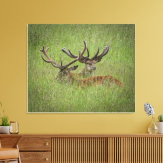 Rust Red Deer in Tall Grass Canvas Afdruk
