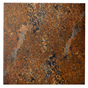 Rust Surface Natural Abstract Photo Tegeltje