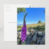 Rust van het Engelse platteland Briefkaart (Voorkant / Achterkant)