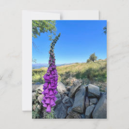 Rust van het Engelse platteland Briefkaart