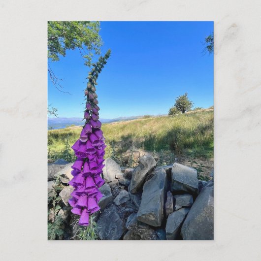 Rust van het Engelse platteland Briefkaart (Voorkant)