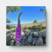 Rust van het Engelse platteland Fotoplaat (Voorkant)