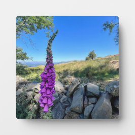 Rust van het Engelse platteland Fotoplaat