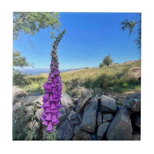 Rust van het Engelse platteland Tegeltje (Voorkant)