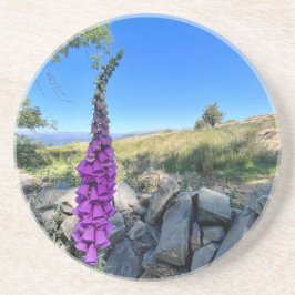 Rust van het Engelse platteland Zandsteen Onderzetter