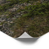 Rusted and Worn - An Anchor Ashore Poster (Hoek)