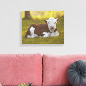 Rustend kalf canvas afdruk (Insitu (Woonkamer))