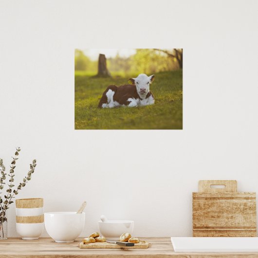 Rustend kalf poster (Keuken)