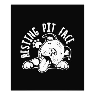 Rustend Putgezicht Grappige Hond Pitbull Meme Foto Afdruk