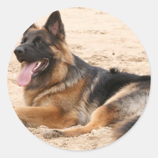 rustende duitse herdershond Sticker (Voorkant)