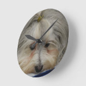 Rustende Hond Havanese Ronde Klok (Hoek)
