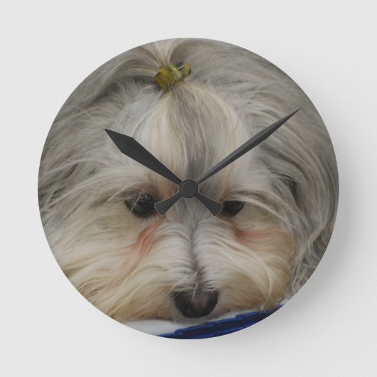 Rustende Hond Havanese Ronde Klok (Voorkant)