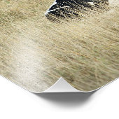 Rustende Koe - Foto Afdruk (Hoek)