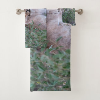 Rustende Leeuwin Afrikaanse Wilde Dieren Foto Bad Handdoek