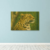 Rustende luipaard in Sanctuary setting Canvas Afdruk (Insitu (Houten vloer))