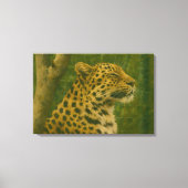 Rustende luipaard in Sanctuary setting Canvas Afdruk (Voorkant)