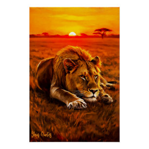 Rustende mannelijke leeuw op gouden savanne perfect poster