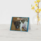 Rustende puppy wordt goed Kaart (Gele Bloem)