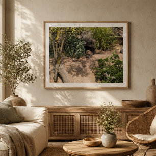 Rustende stokstaartjes in natuurlijke habitat Wild Poster