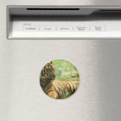 Rustende tijgermagneet magneet (Insitu (Vaatwasser))