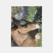 Rustende Wilde Pony Fleece Deken (Voorkant)