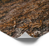 Rustic Autumn Canoe // Dusk Lit Grey Poster (Hoek)