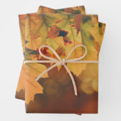 Rustic Autumn leest papierbladen met vulling Inpakpapier Vel (In situ)