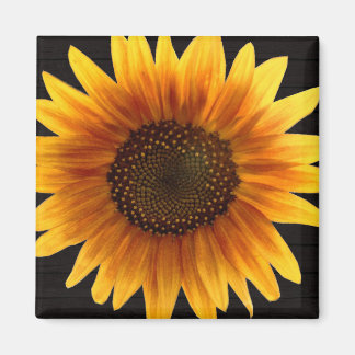 Rustic Autumn Sunflower Magneet