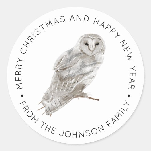 Rustic Barn Owl in de winter Ronde Sticker (Voorkant)
