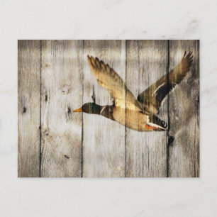 Rustic Barn wood Western Land dat Wilde Duck vlieg Briefkaart