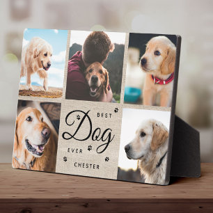Rustic Best Dog Ever Memorial Modern Photo Collage Fotoplaat