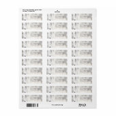 Rustic Birch Tree Winter Snowy Étiquettes de adres (Feuille entière)