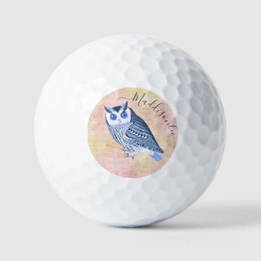Rustic Blue Owl Monogram Name Golf Balls Golfballen (Voorkant)