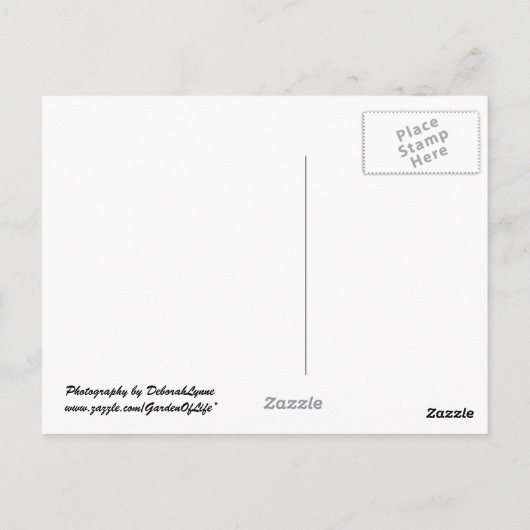 Rustic Bulkhead op Beach Briefkaart (Achterkant)