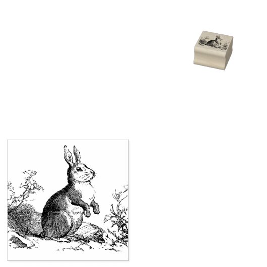 Rustic Bunny Rabbit Rubber Stamp Rubberstempel (Gestempeld)