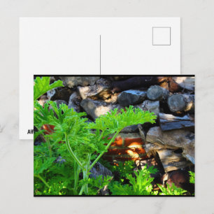 Rustic Citroenblad Briefkaart