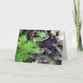 Rustic Citronella Leaf Portrait Card Kaart (Voorkant)