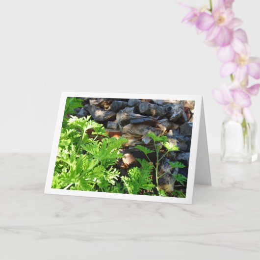 Rustic Citronella Leaf Portrait Kaart (Orchidee)
