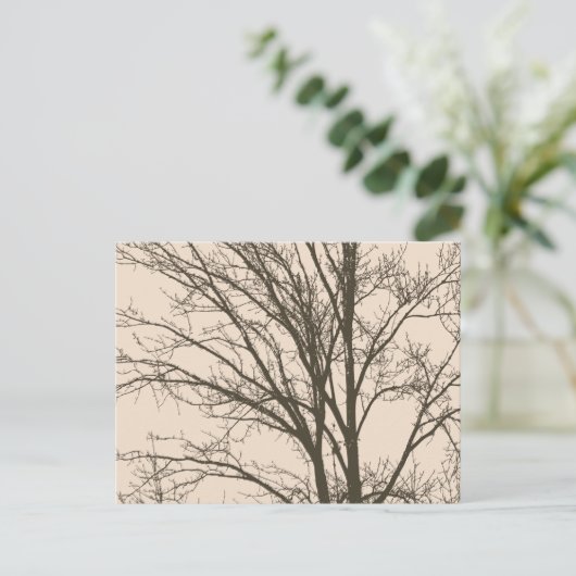 Rustic Cream Brown Tree Branches Briefkaart (Staand voorkant)