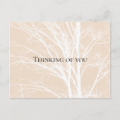 Rustic Cream White Tree Branches Briefkaart (Voorkant)