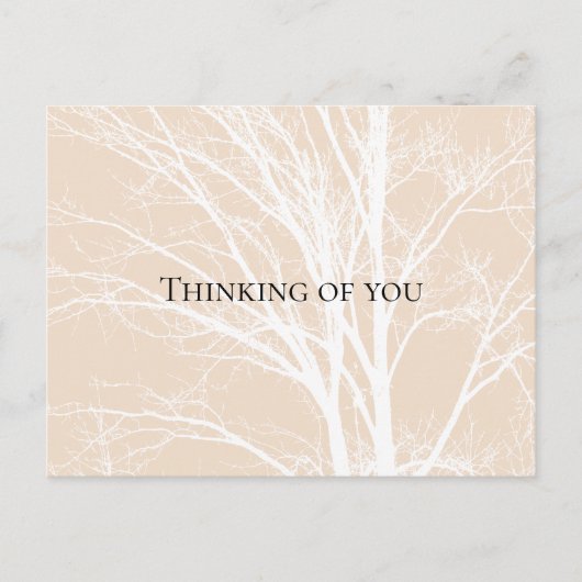 Rustic Cream White Tree Branches Briefkaart (Voorkant)