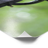 Rustic Dinner Bill met Steer Foto Afdruk (Hoek)