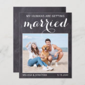 Rustic Dog Wedding Photo Budget Save the Date Kaar (Voorkant / Achterkant)