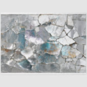 Rustic Dragon Scale Mirror Decoupage Papier (Voorkant)