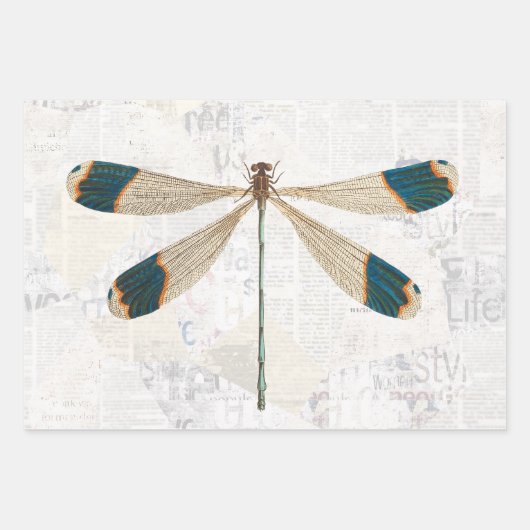 Rustic Dragonfly ontkoppeling van ontkoppeling Inpakpapier Vel (Voorkant 3)