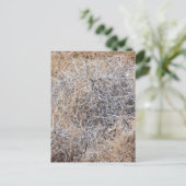 Rustic Dry Tumbleweed Briefkaart (Staand voorkant)