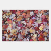 Rustic Fallen Arbre d'automne Feuille Motif (Devant 3)